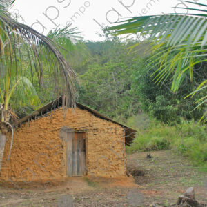 Mud house