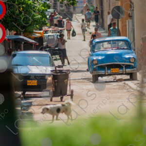 Neighborhood street in Havana