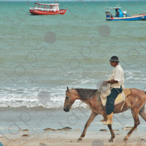 Old man riding horse on the seashore