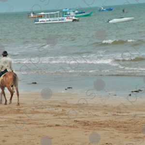 Old man riding horse on the seashore