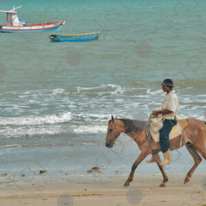 Old man riding horse on the seashore