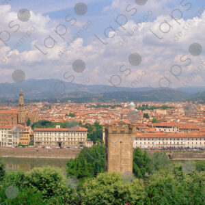 Panoramic view of Florence city