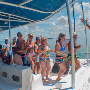 Party on a yacht, with crew and tourists