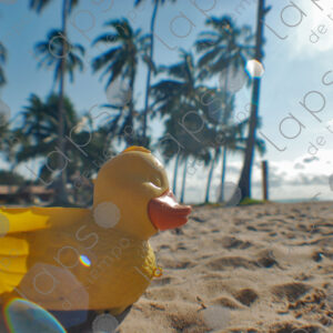 Plastic duck in the sand