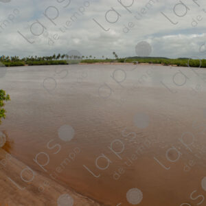 River landscape, brown color