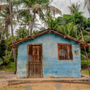 Rustic blue house with palm trees
