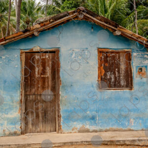 Rustic blue house with palm trees