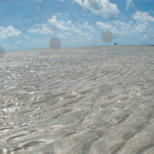 Sand exposed at low tide