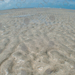 Sand exposed at low tide