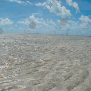 Sand exposed at low tide