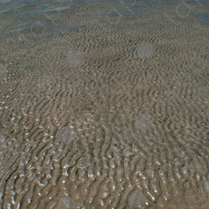 Sand exposed at low tide