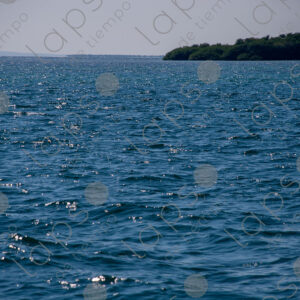 Sea horizon during the day
