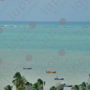 Several artisanal fishing boats in sea