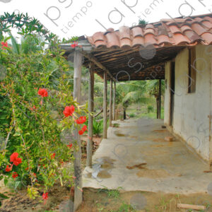 Side view of country house