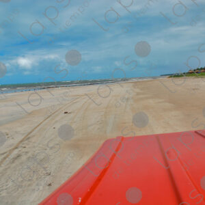 Subjective view of the front of the buggy
