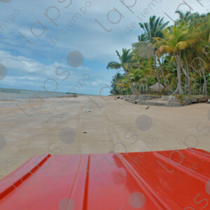 Subjective view of the front of the buggy