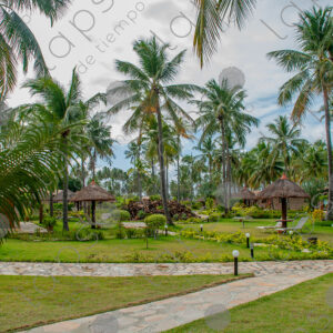 Tropical gardens at the resort