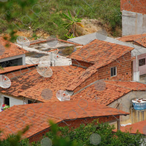 brick houses and tile roof