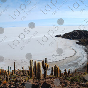 Beach at Isla Incahuasi, Salar de Uyuni