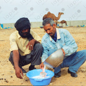 Camel breeders filter milk in Dakhla, Morocco