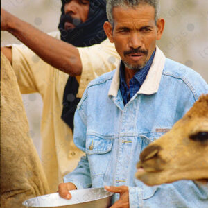 Camel breeders, telephoto lens, Dakhla, Morocco