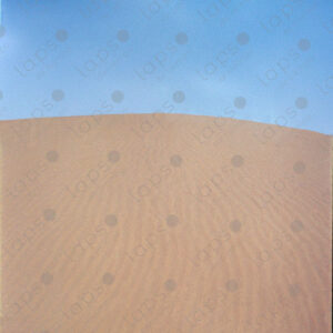 Great dune in the Western Sahara desert