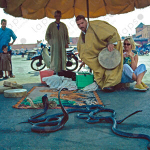 Snake Charmers Entertaining Tourists, Marrakech