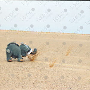 Stuffed elephant in the Western Sahara Desert