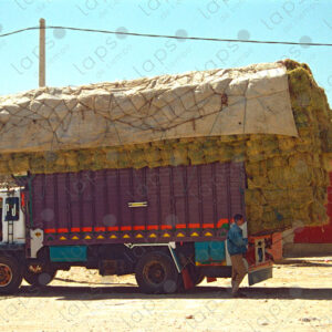 Truck Loaded with Grass in a Parking Lot in the City of Fez, Morocco