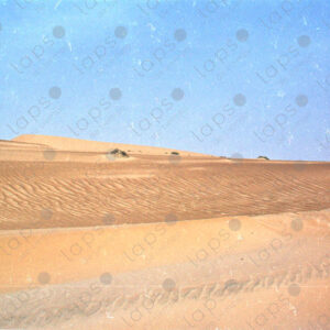 Western Sahara Desert