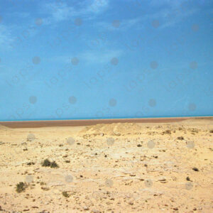 Western Sahara coast