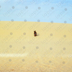 Woman sitting on a dune in Western Sahara